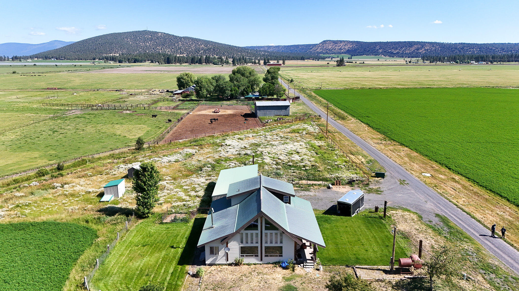 N/A - Farm