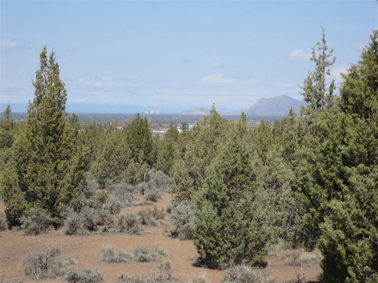 Mtn View Estate - Land