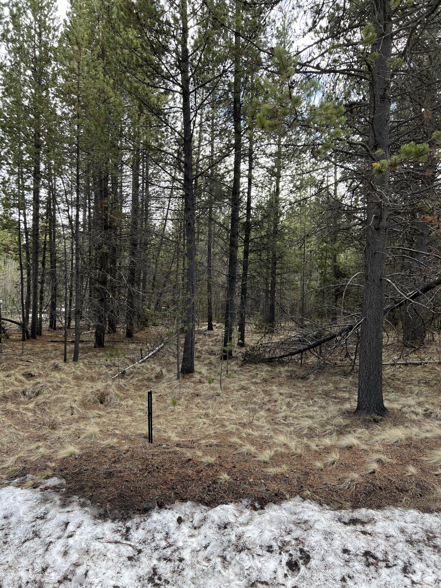 Deschutes River Recreation Homesites - Land