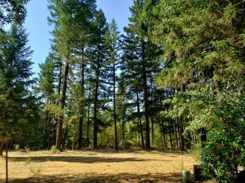 Secluded Forest Subdivision! Place your manufacture home on this .24 of an acre. Shared well and septic. Almost two Acres of Common Area. CC&R's on file. Possible owner terms available.