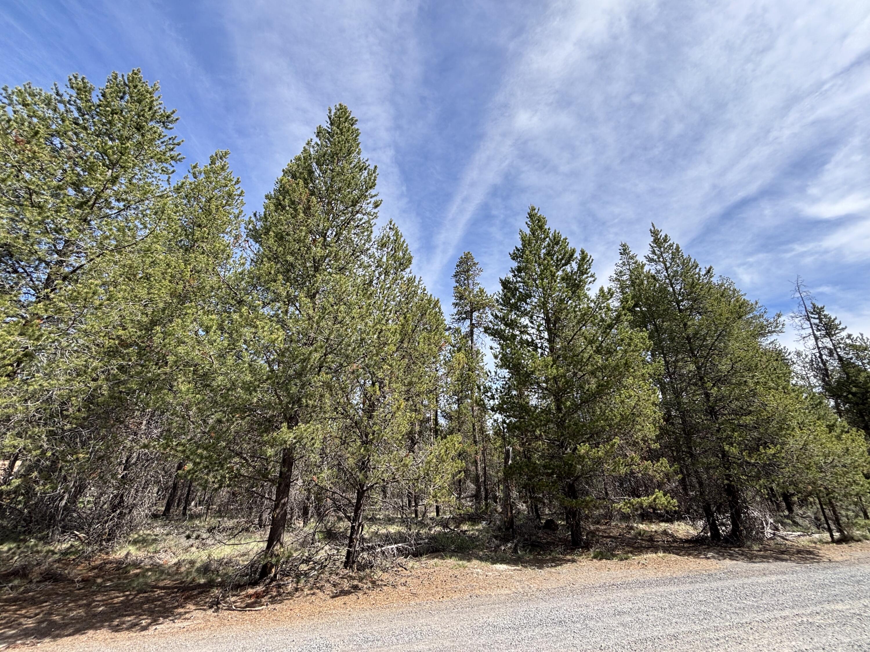 Thank you for viewing!  Price reduced! What a great 1.13 acre home site! Located just 5 miles from La Pine in the Woodland Park Subdivision and 3 blocks from the Day Rd corner market, this level lot boasts mature ponderosa and lodgepole pines for tremendous privacy. Prior septic feasibility approval from 2004 and in an area of good wells gives you a head start for your perfect home (or just RV camp if you wish). You will be surrounded by the natural beauty of the forest, wildlife and abundant sunshine. Easy access to the Cascade mountains, pristine rivers and lakes for fishing, kayaking or swimming. An abundance of outdoor activities year-round means there's something for everyone to enjoy. Numerous reservoirs are nearby which are renowned for their fantastic fishing, wildlife viewing and bird watching opportunities. Don't you deserve this lifestyle?