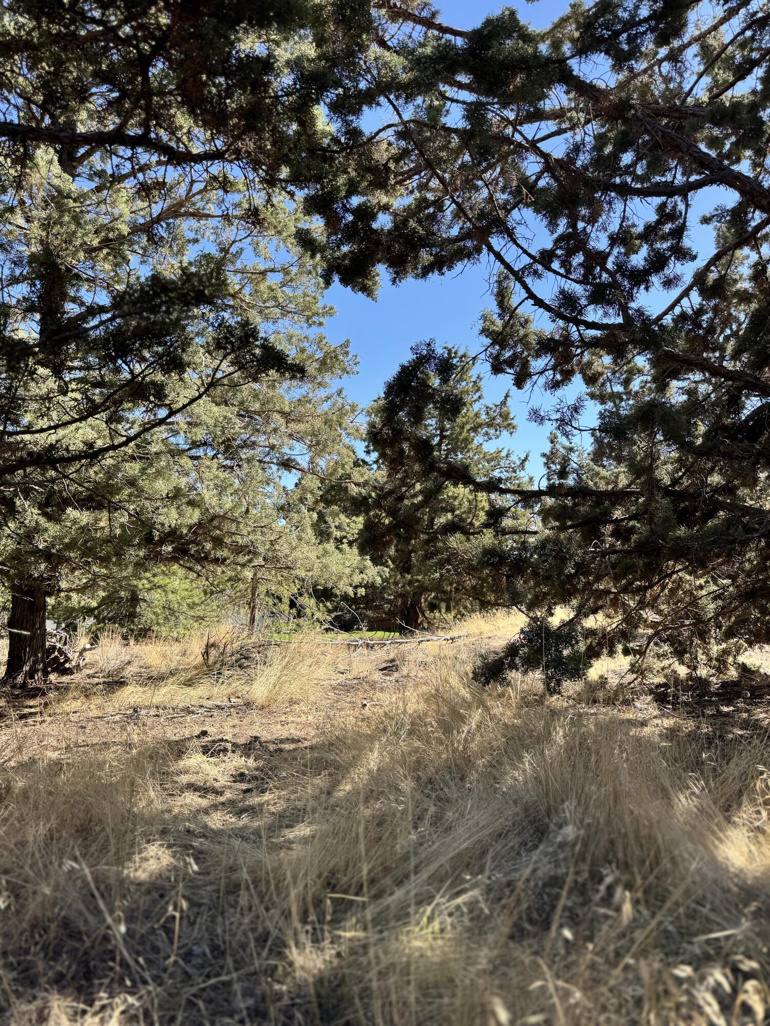 Valleyview - Land