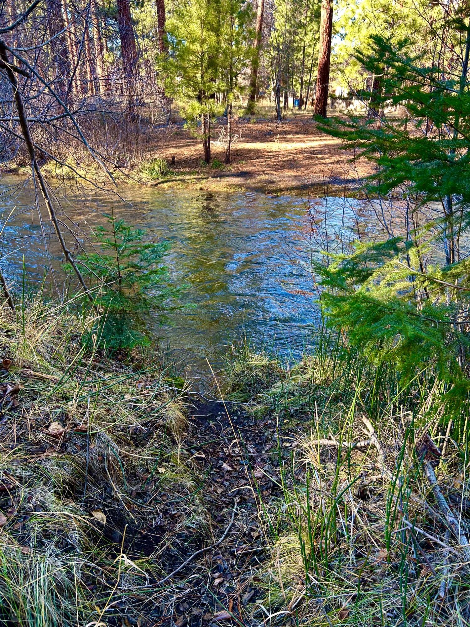 Buck Run - Land
