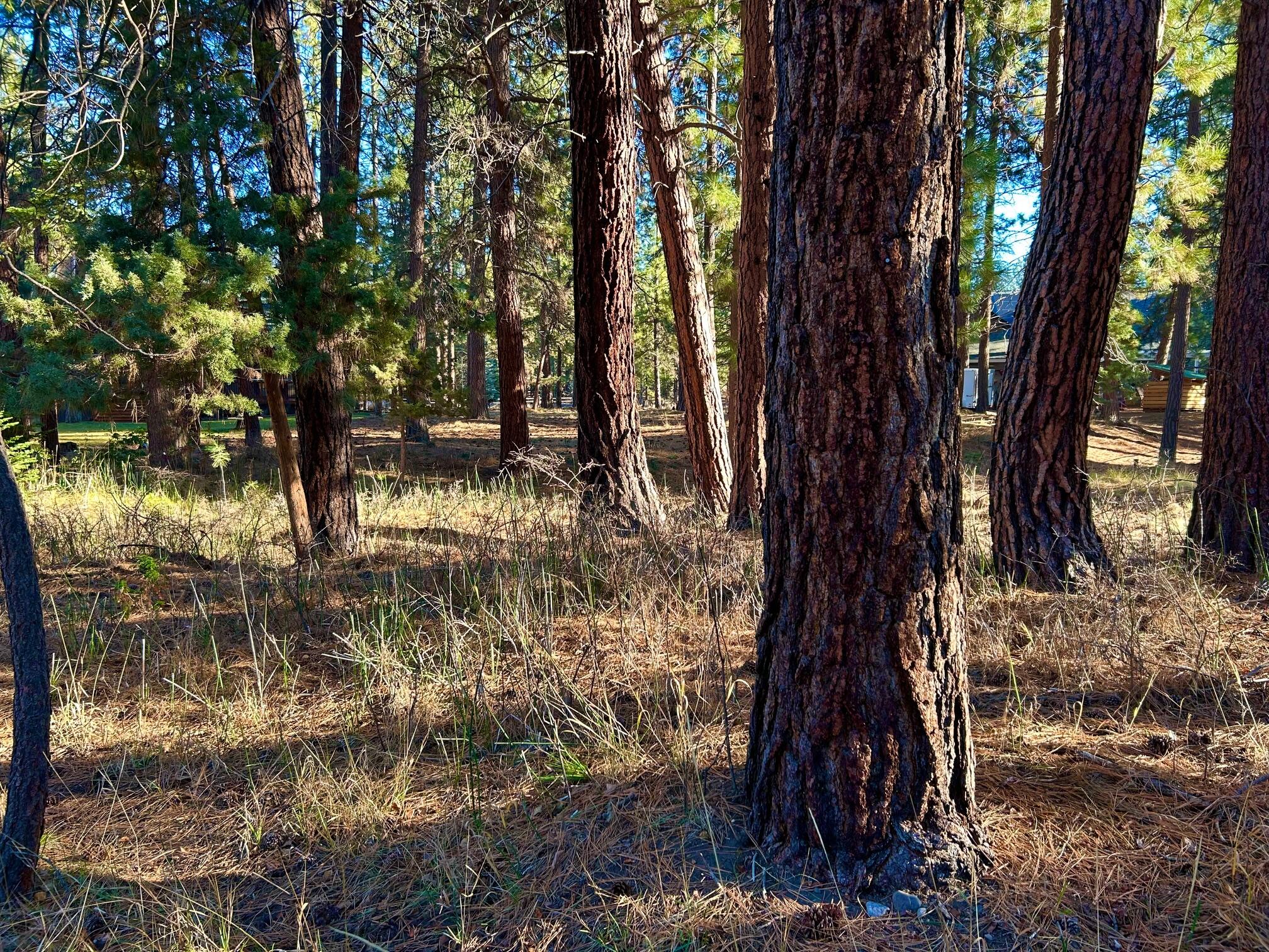 Buck Run - Land