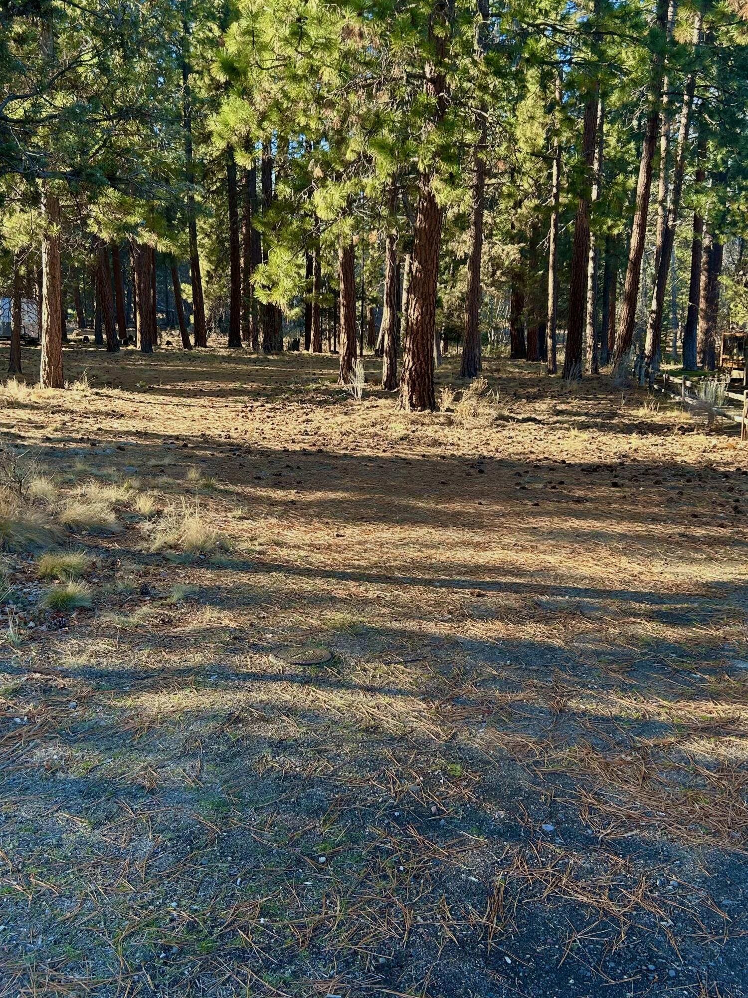 Buck Run - Land