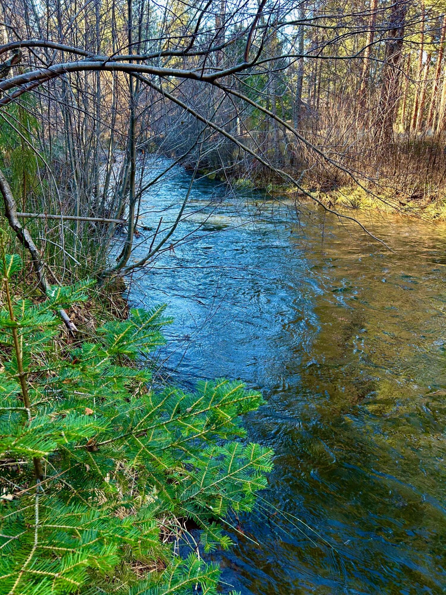 Buck Run - Land