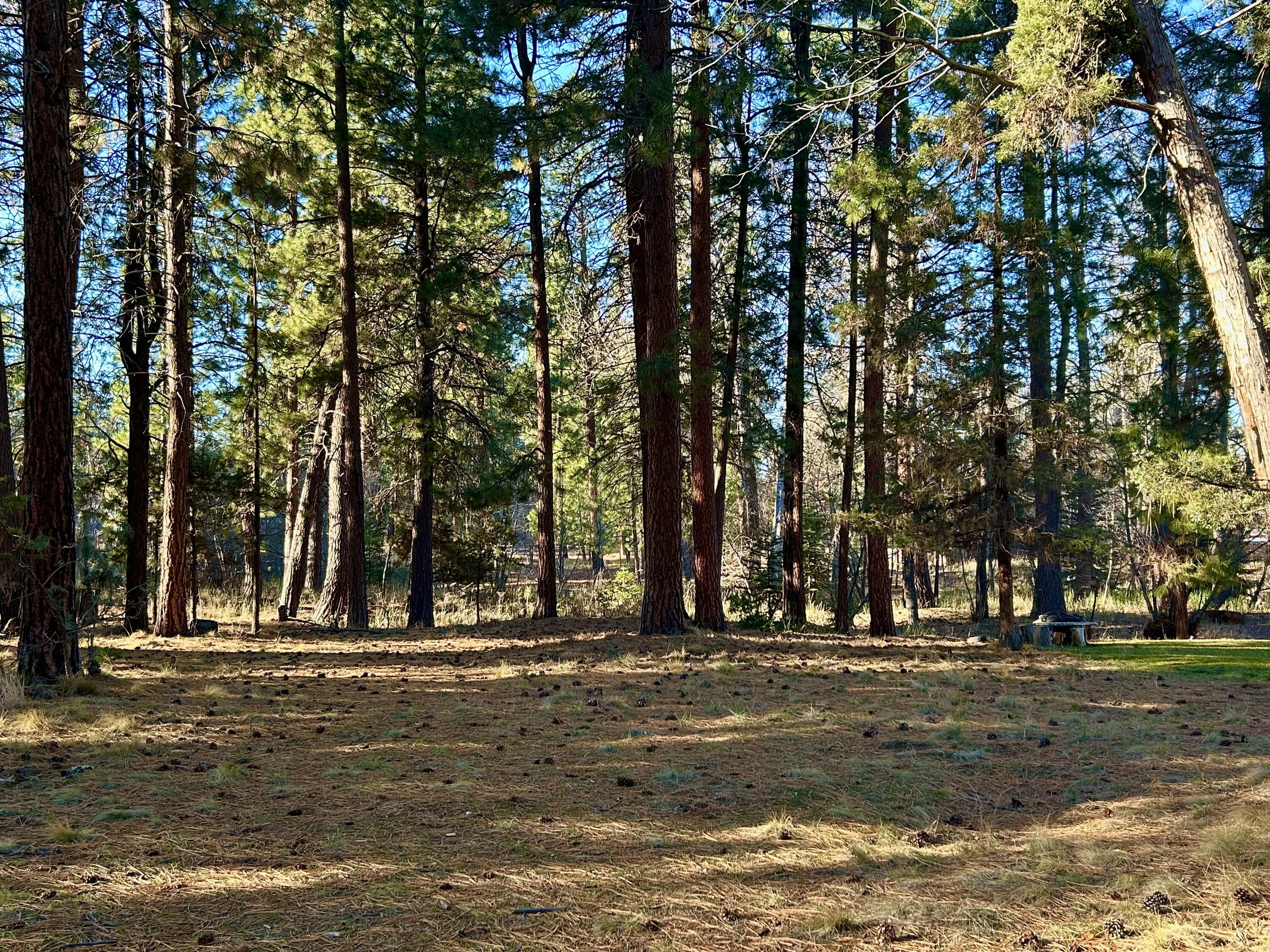 Buck Run - Land