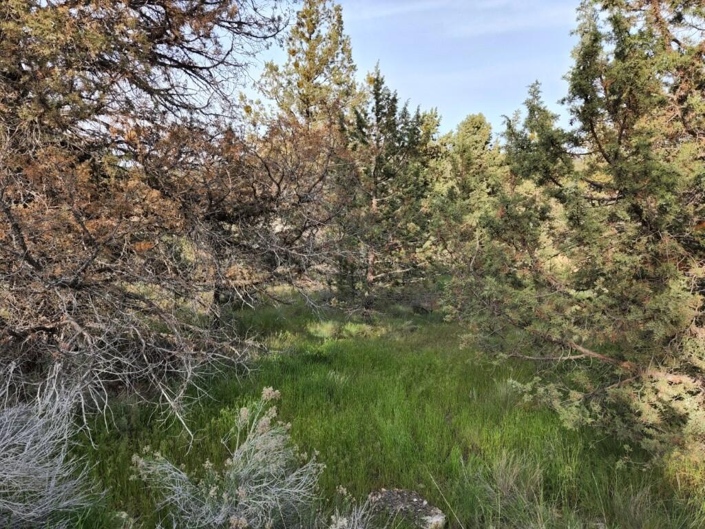 Come build your dream home in the community of Ochoco West on this nearly level .21 acre parcel, with community water/sewer access, and power at the road. The community is only 9 miles from the township of Prineville and offers; a outdoor swimming pool, fish pond, clubhouse, shooting range, ATV trails, 1200 acres of recreational land, with horse trails and boarding.  Call your favorite agent for your private showing and make this property yours today.