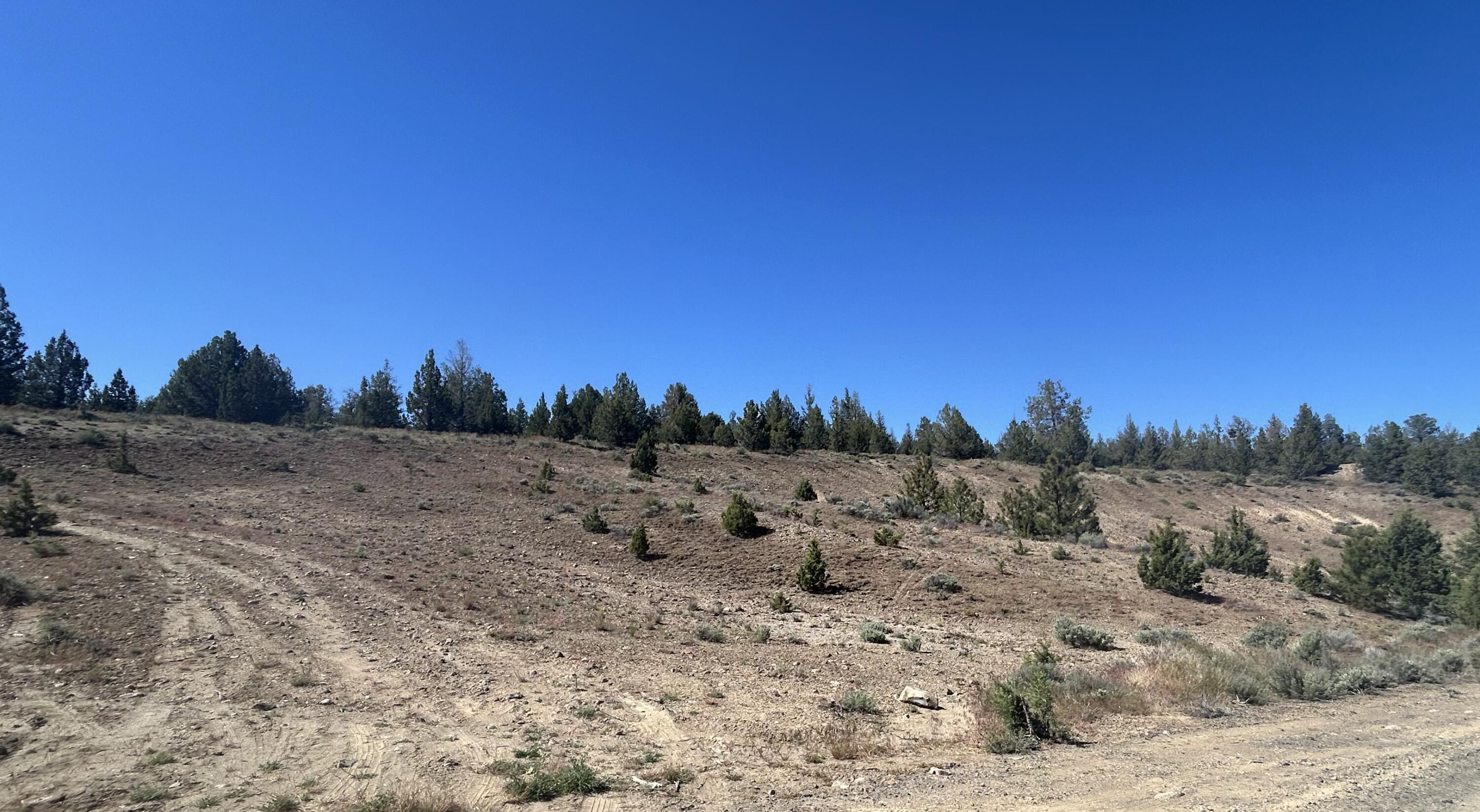 Buildable 2.25-Acre Lot with Mountain Views! Nestled in Prineville Lake Acres, this spacious property offers peaceful rural living with the convenience of nearby modern amenities. Just a short drive to the charming town of Prineville, where you'll find shops, restaurants, and endless recreational opportunities. Enjoy proximity to BLM land and the Prineville Reservoir for outdoor adventures. With plenty of space for your dream home and a shop, the lot also features fantastic solar potential and is already septic approved - bring your plans and start building today!