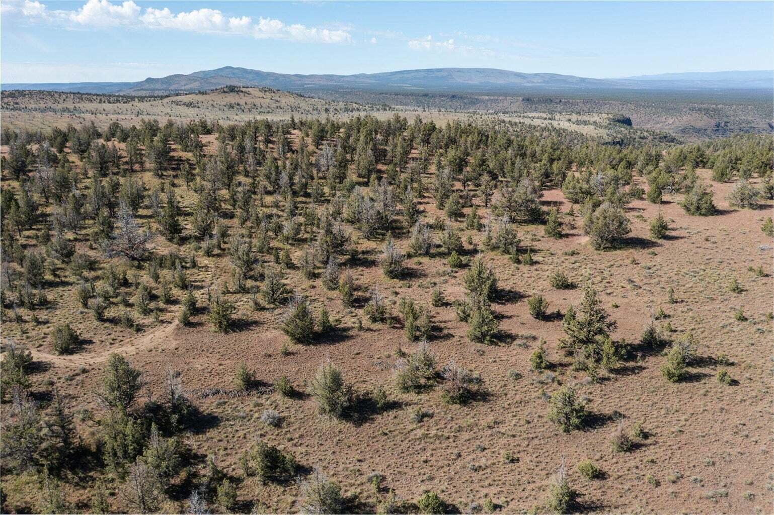 Prineville Lake Acres 2 - Land