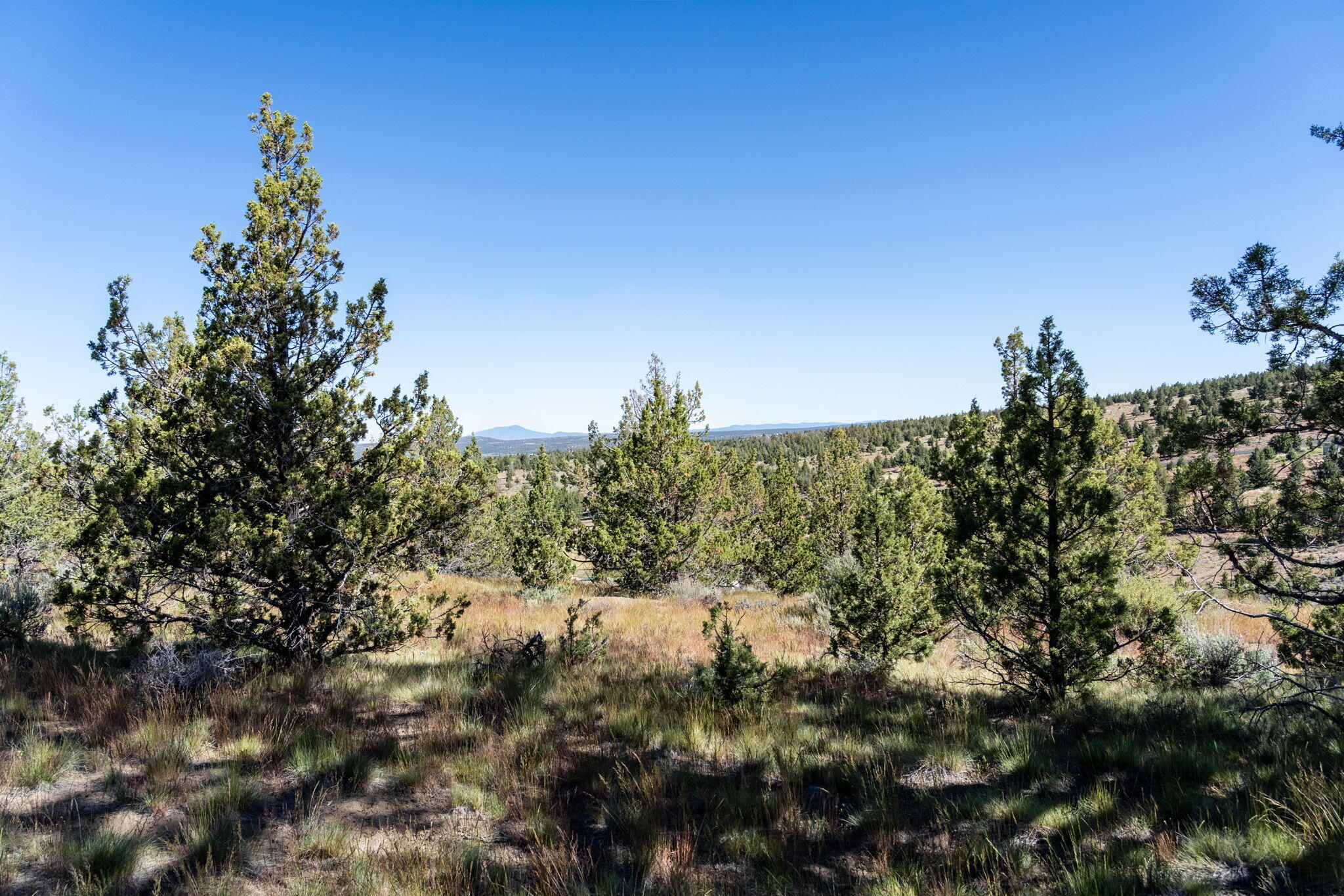 Prineville Lake Acres 2 - Land