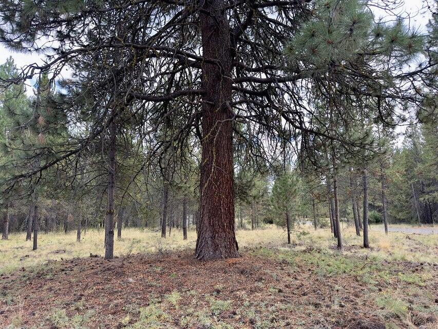 Deschutes River Recreation Homesites - Land