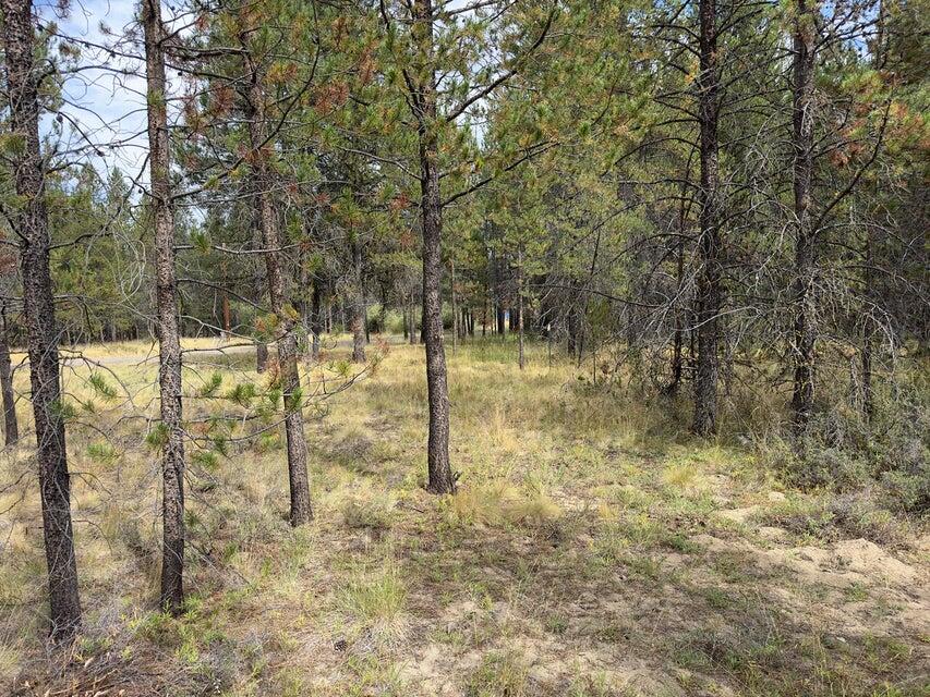 Deschutes River Recreation Homesites - Land