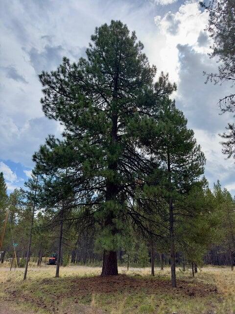 Deschutes River Recreation Homesites - Land