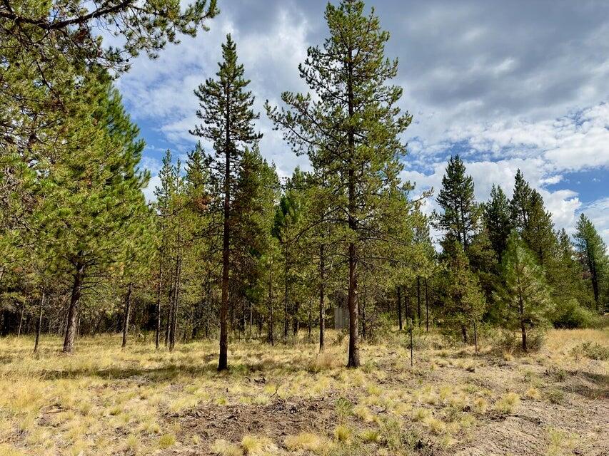 Your Central Oregon Basecamp Awaits!  Dreaming of a peaceful escape tucked in the pines? This flat, treed .32-acre corner lot offers just that—a prime recreational getaway with flexible access from two sides. Whether you're planning to camp, park your RV, or hold as an investment, this parcel is flagged and ready for your next move.  Located near the Deschutes River and La Pine State Park, your minutes from the action—Sunriver, Mt. Bachelor, the Cascade Lakes, and the Deschutes National Forest are all within reach. Adventure, solitude, and value meet right here.  At this price, it's a rare chance to own a slice of Oregon outdoors.  Take the next step with your trusted agent to make it yours.