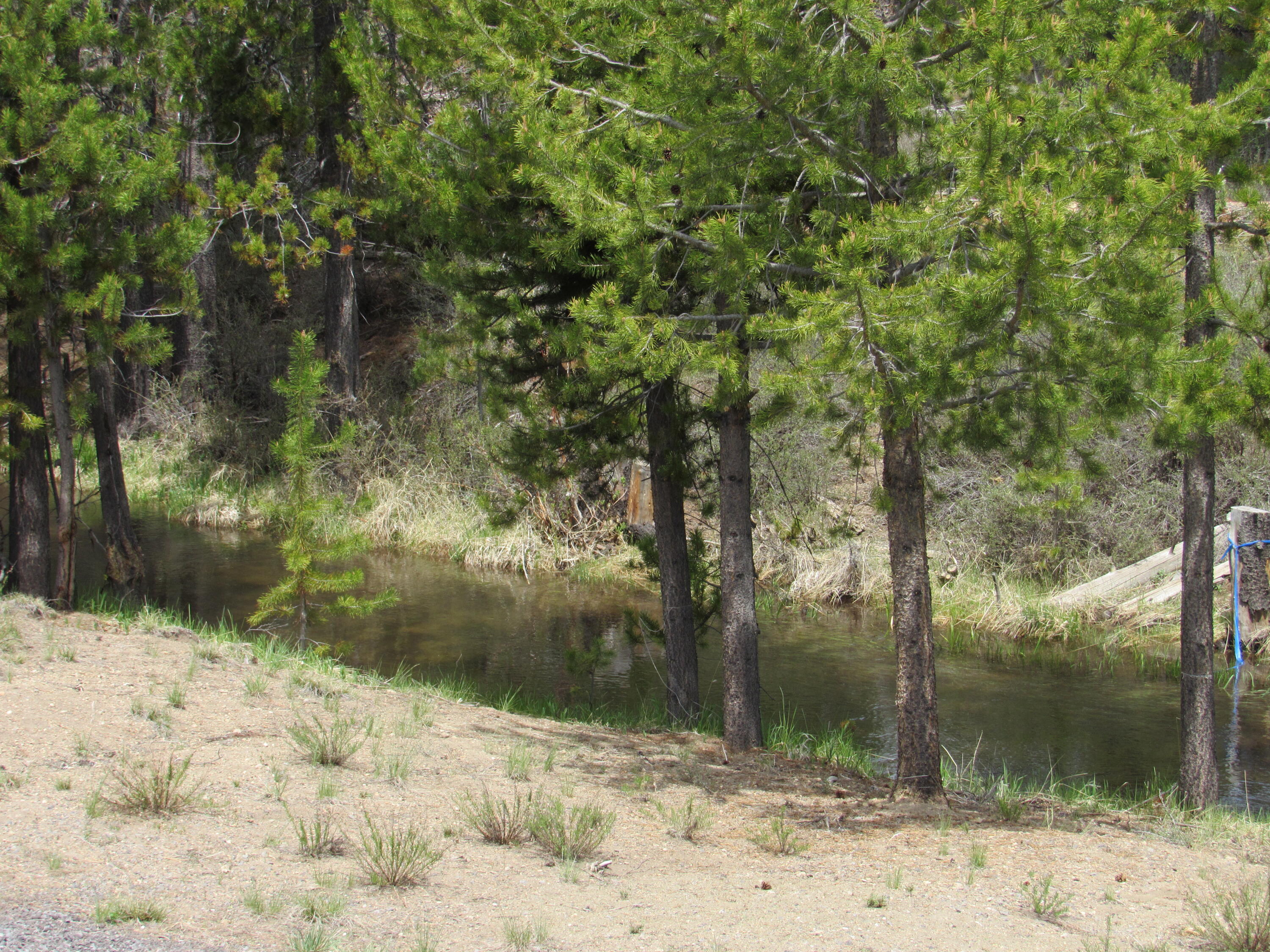 Chiloquin Acres - Residential