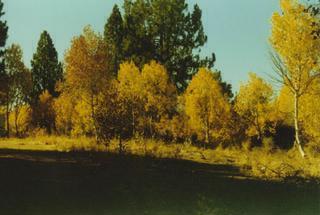 Chiloquin - Land