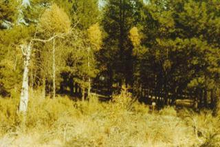 Chiloquin - Land