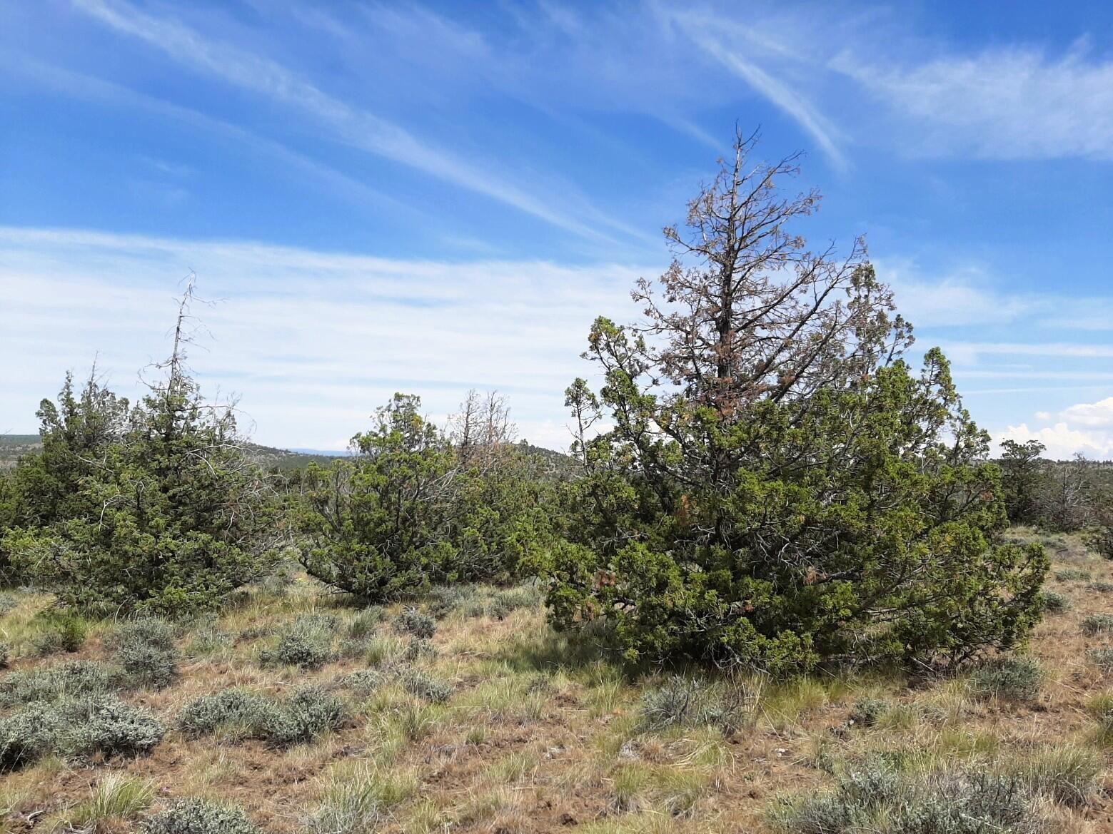 Prineville Lake Acres 1 - Land