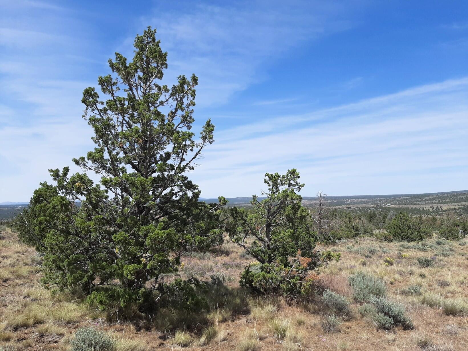 Prineville Lake Acres 1 - Land