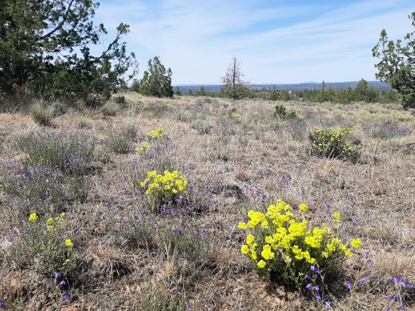 Prineville Lake Acres 1 - Land