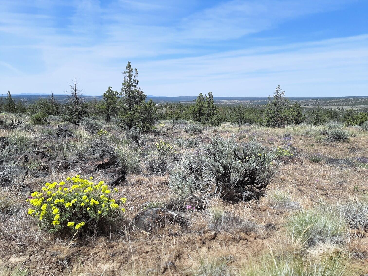 Prineville Lake Acres 1 - Land