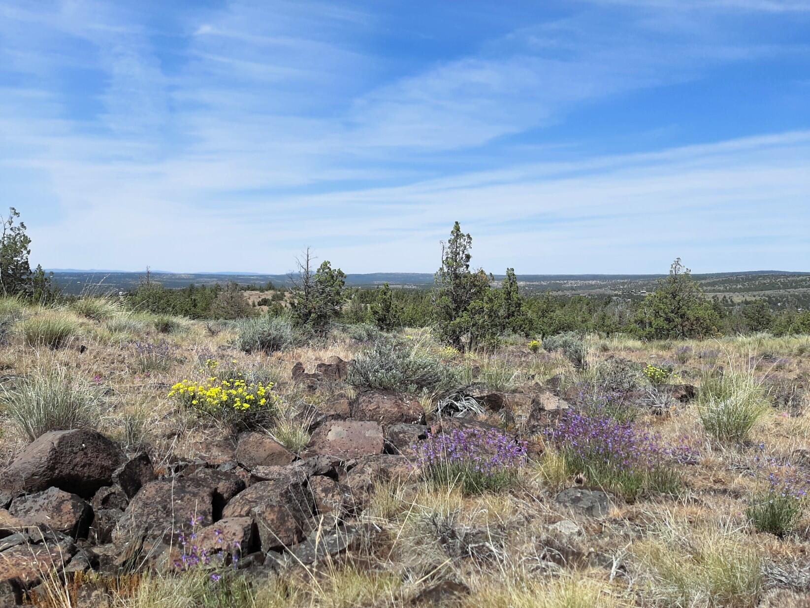 Prineville Lake Acres 1 - Land