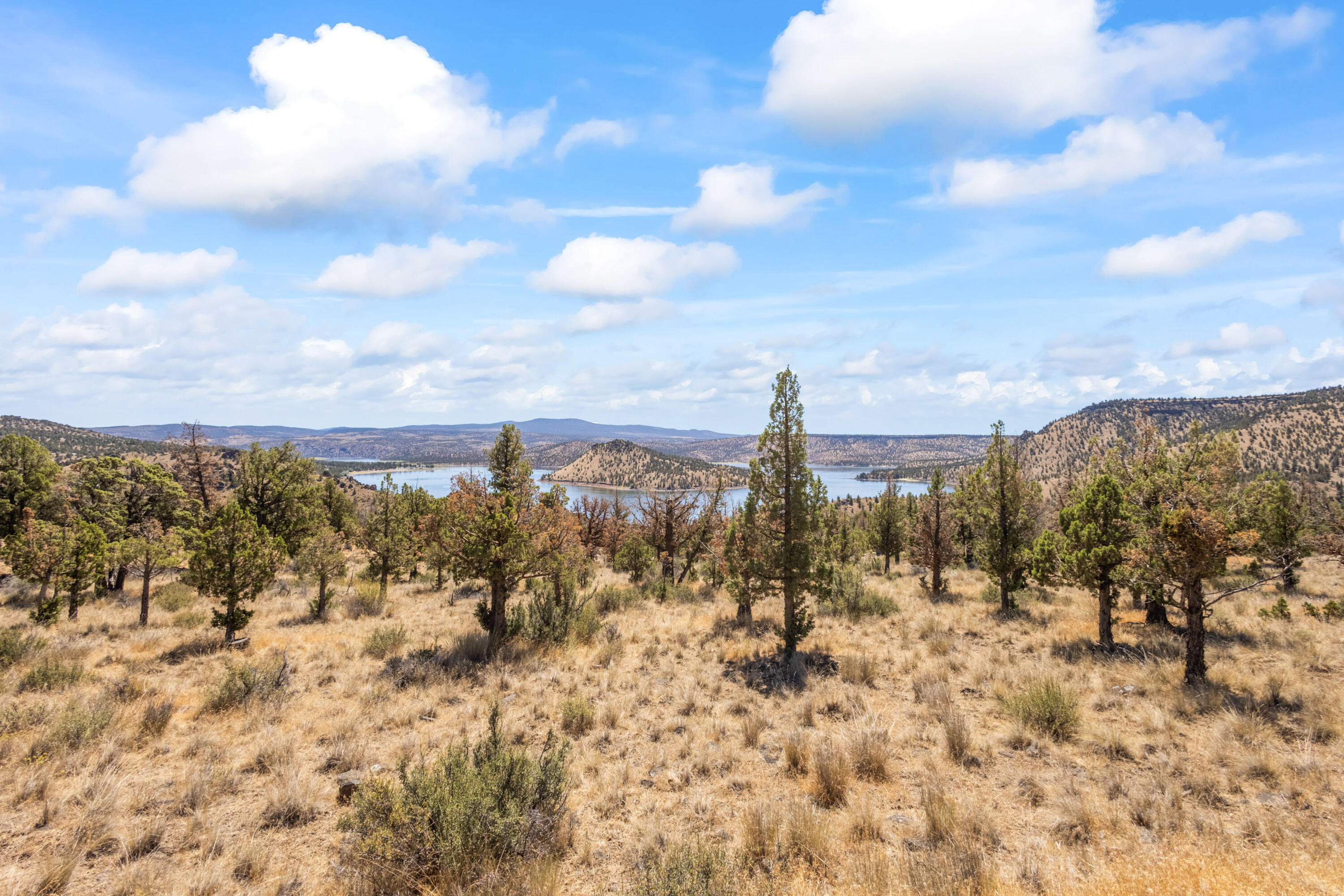 Lakeview Cove - Land