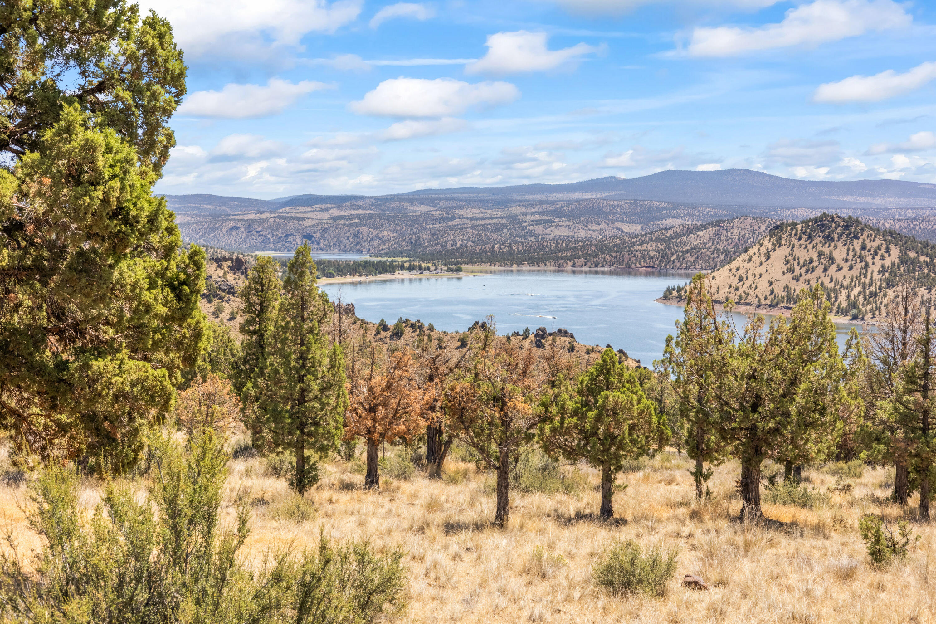 Lakeview Cove - Land