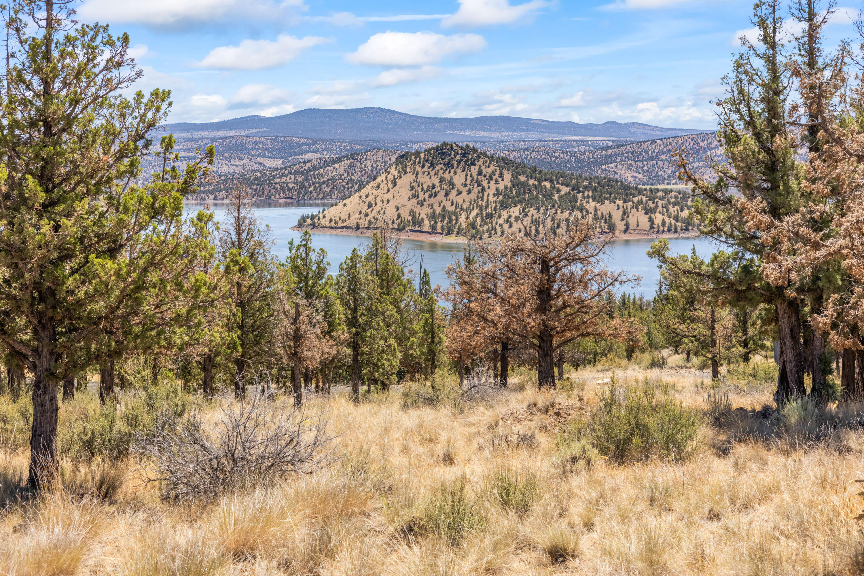 Lakeview Cove - Land