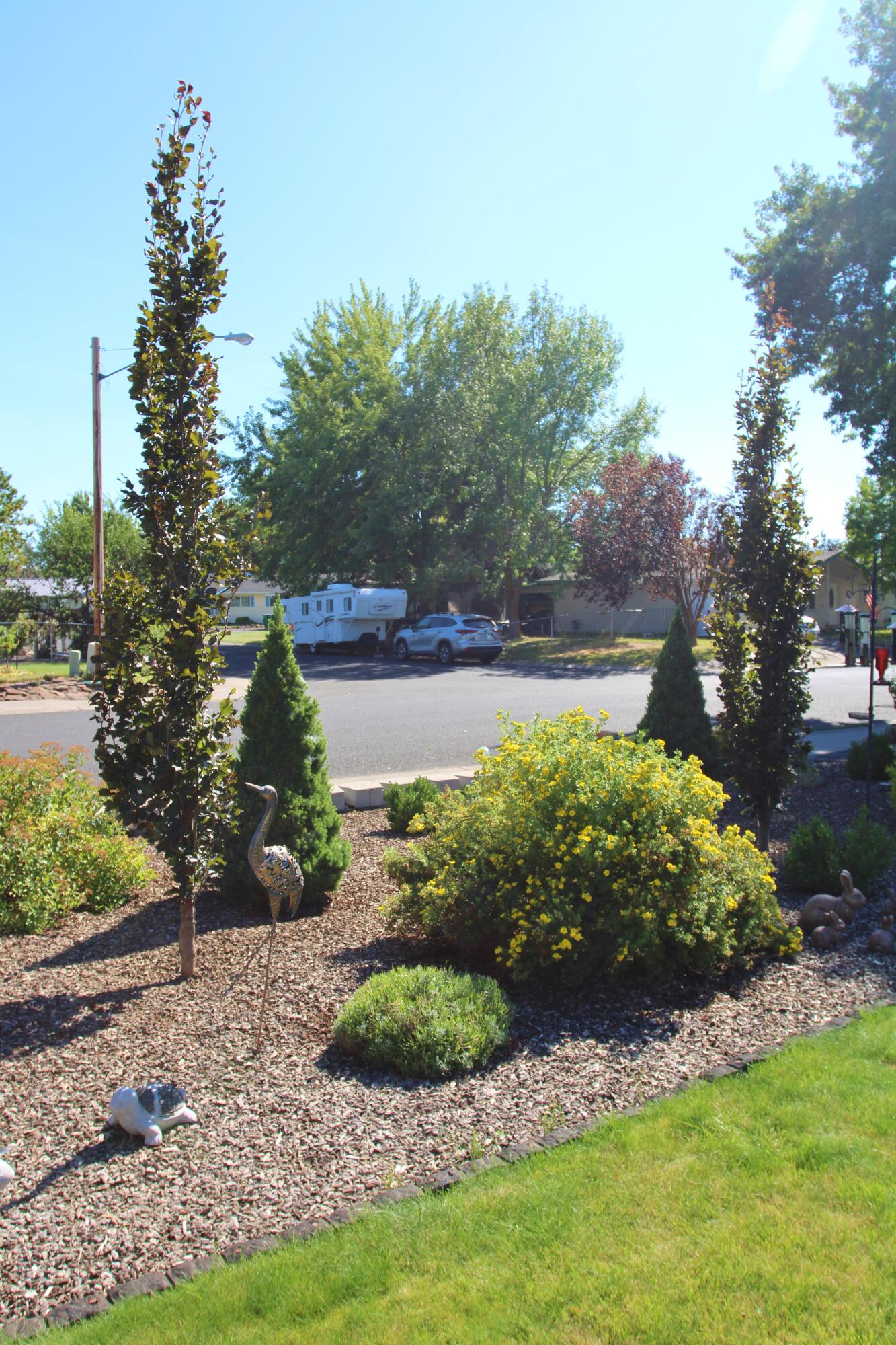 Meadows -Third Addition - Residential