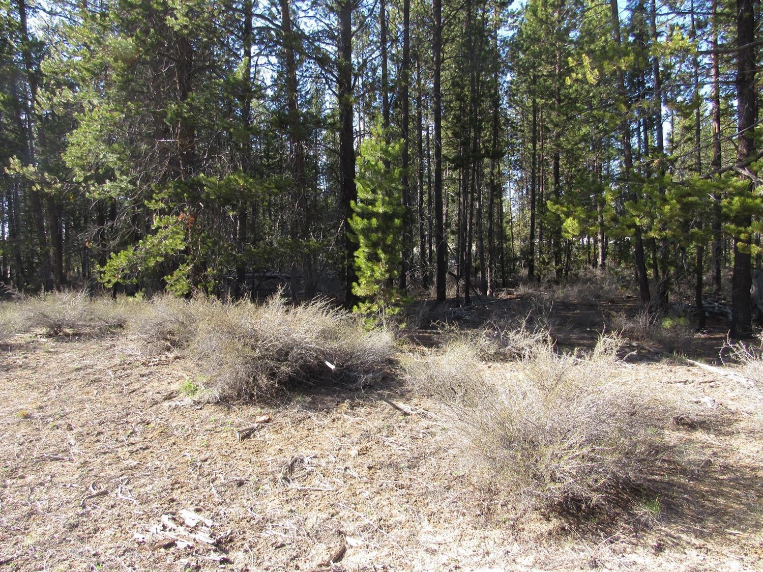 Great lot in nice Central Oregon community not far from lakes, recreation and City of La Pne. Easy commute to both Sunriver and Bend. Needs septic, well and electric. Buyer to do own due diligence regarding lot uses and utilities.