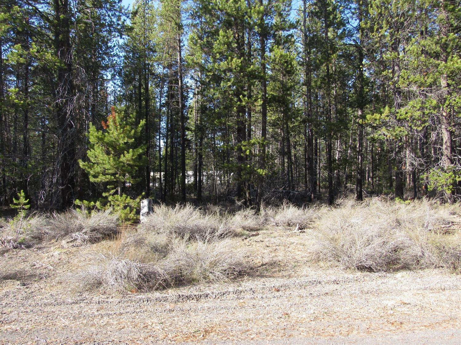 Holmes Acres - Land