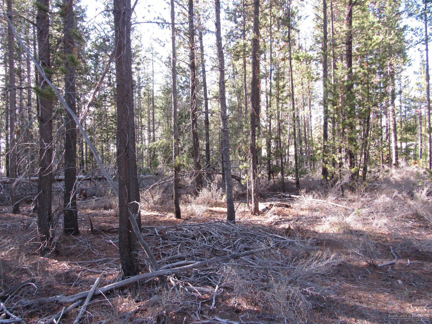 Holmes Acres - Land