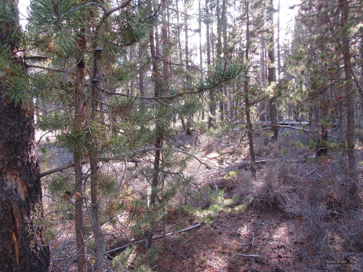Holmes Acres - Land