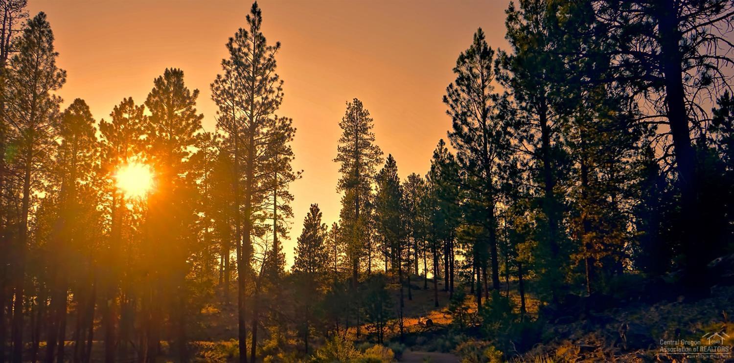 Clearpine - Land