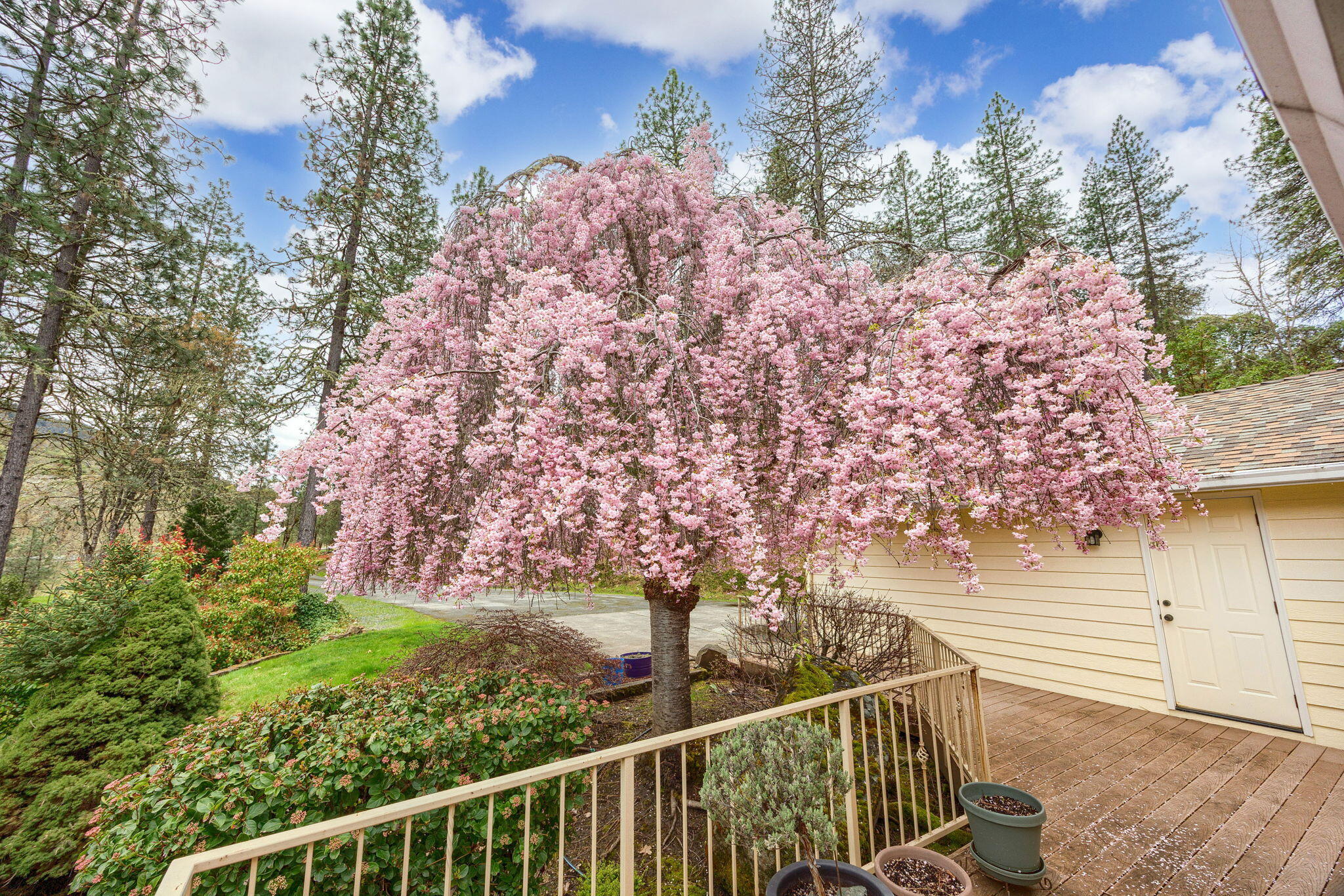 Cloverlawn Heights Subdivision - Residential