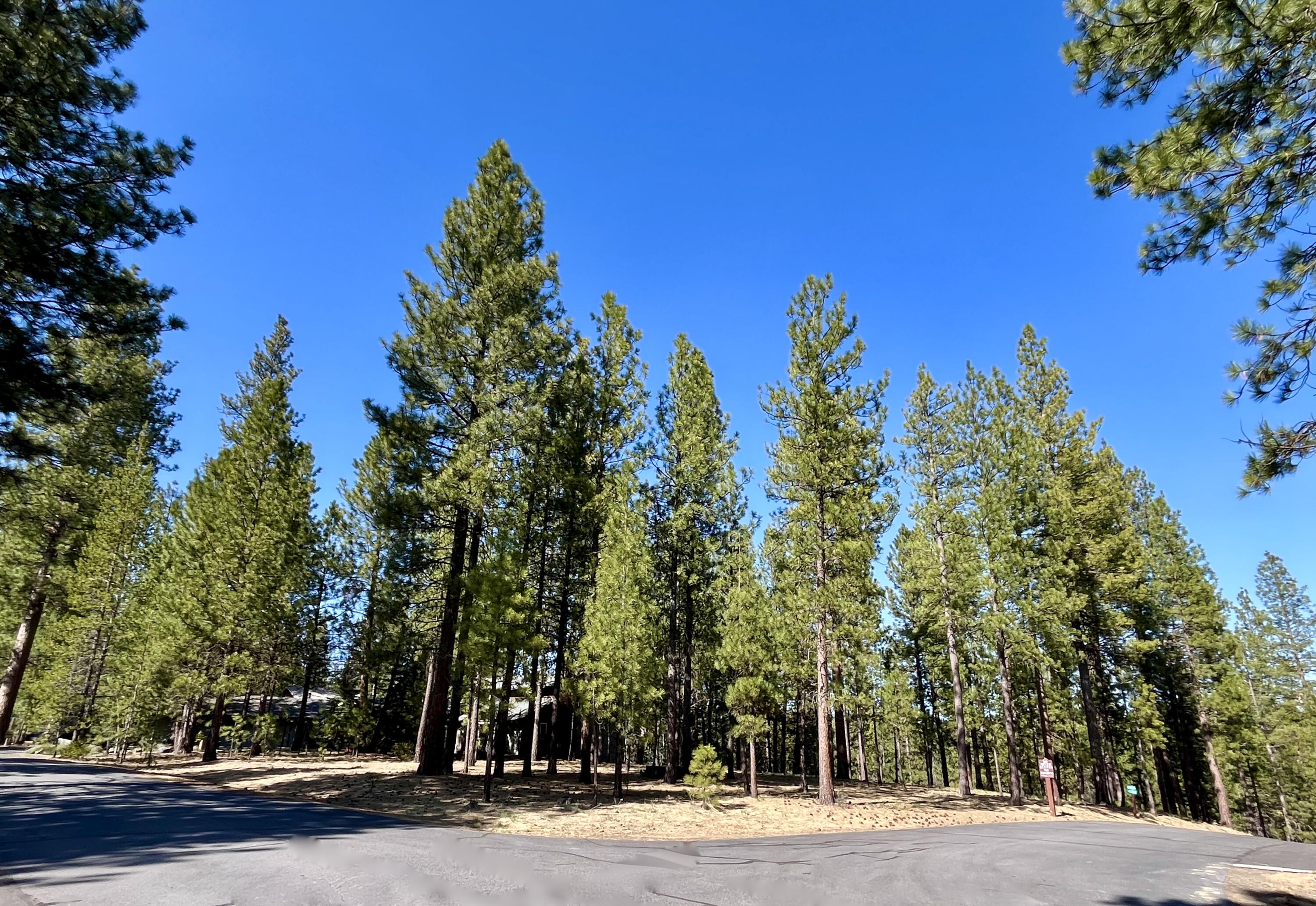 Presenting one of the few remaining undeveloped lots  just footsteps from the scenic rushing waters of the Upper Deschutes River and Pringle Falls!  This .44 acre elevated parcel features a commanding overlook of old growth pine forest, filtered views of the historic otter pond and big river, and a level building site with a gentle eastward slope conducive to a daylight basement vacation getaway or full-time respite from a busy world.  Here is a groomed lot in a compelling location, surrounded by fine custom homes in the Wild River community where residents enjoy friendly CCR's, paved roads, underground utilities, community water, nature trails, and direct access to miles of National Forest for all-season recreation.  A best of all worlds opportunity -- a special residential building site in a tranquil location, while just a few minutes' drive from the array of unparalleled activities and events in Sunriver and Bend!