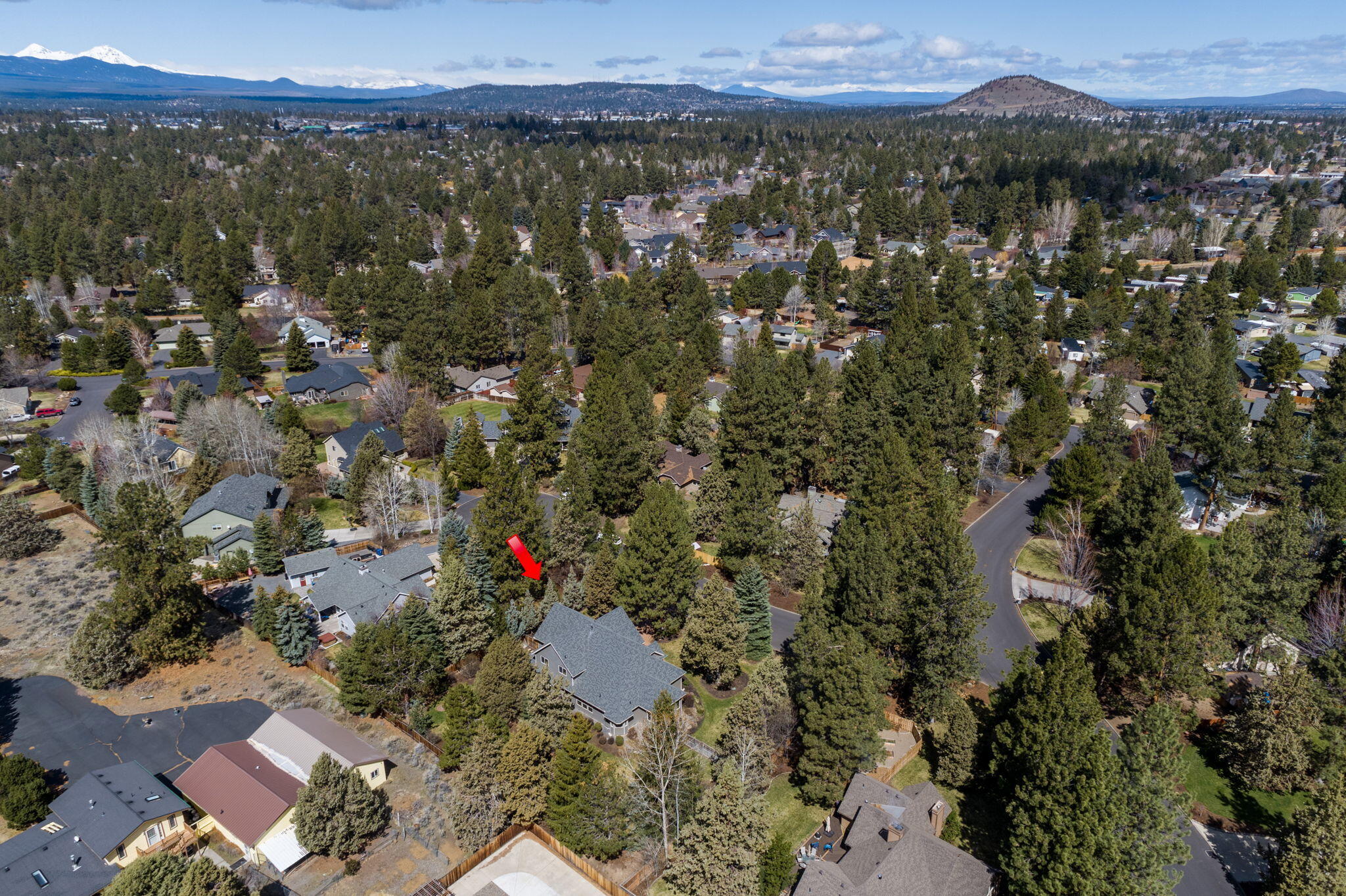 Ponderosa Estates - Residential