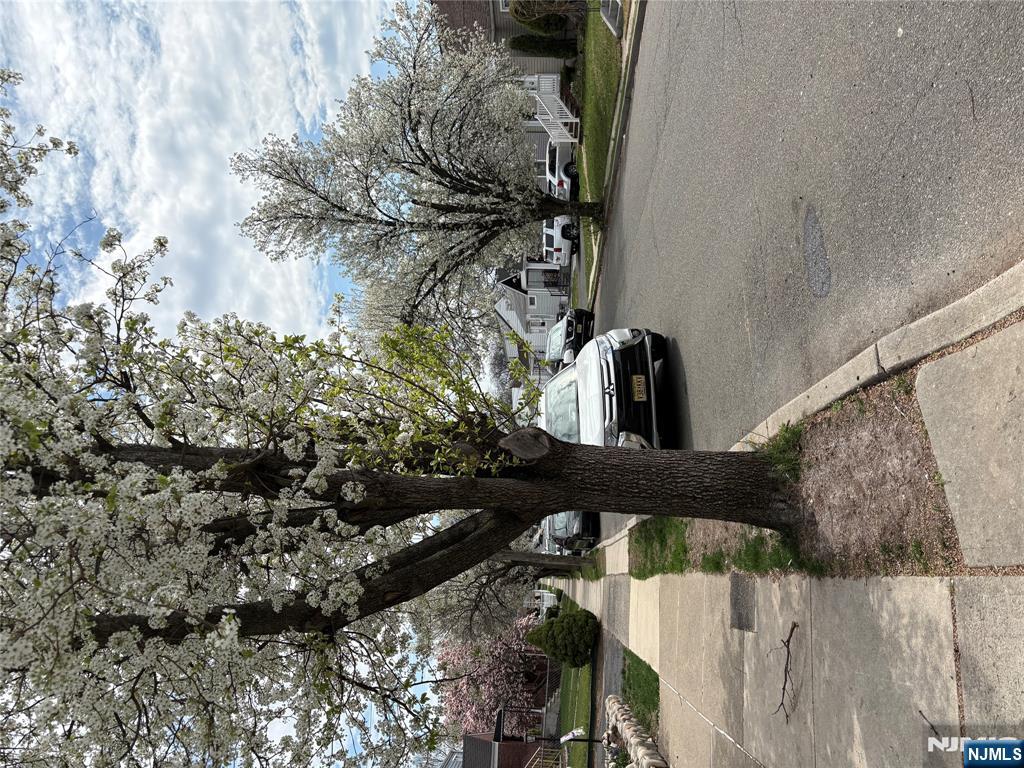 Terrific Unit ! Spacious ! Bright ! Updated ! Beautiful residential location close to Hasbrouck Hts near bus, shopping and schools. 3-bedroom apartment with new bath, new kitchen and appliances, new windows, new floors, washer and dryer in basement, use of the yard, water included, 1 parking spot included, freshly painted. Dog under 20lbs allowed. Move in ready. Tenants to share snow removal and landscaping. No smoking ! NTN, credit check, interview and proof of income. Renter's insurance required.