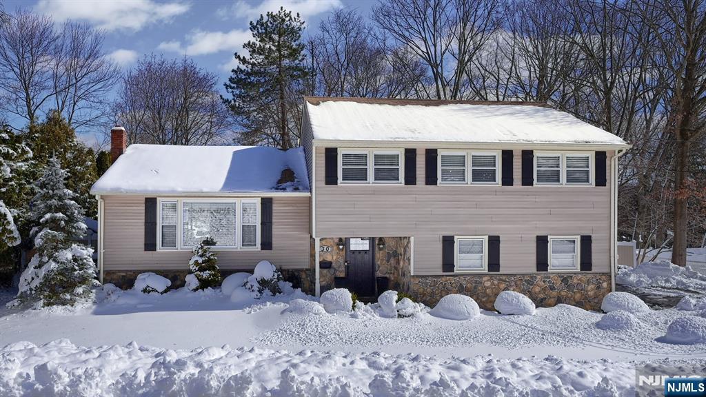FINAL AND BEST to be submitted on Wednesday at 1PM on 3/4/26. Stunning Colonial Split blending timeless elegance with modern design throughout. This 4-bedroom, 2.1-bath home offers an open-concept layout and sun-filled interior on over a half-acre of beautifully landscaped property. The ground level welcomes you with a spacious foyer leading to a generous family room with sliders to the patio-beautifully designed backyard retreat with multiple outdoor living areas, including a firepit, a pergola-covered sitting area, and a fenced yard. Enjoy summer at its best with an above ground pool surrounded by Trex decking. This level also includes a powder room, laundry room, and access to the 2-car garage. The show-stopping main floor features a white custom gourmet kitchen with quartz countertops, center island for casual dining, and stainless-steel appliances. A separate dining area with sliders to the deck flows seamlessly to the backyard and pool. The living room is anchored by a beautiful stone gas fireplace. Upstairs, the primary suite offers a sleek, modern bath, while three additional bedrooms share a stylish main bath. Addâ€™l features include, hardwood floors, recessed lighting and high-end elements throughout plus a newer high-efficiency boiler. Ideally located on a picturesque, tree-lined street near top-rated Fallon Elementary School, NYC transit, shopping, and major highways. Move-in ready and built for both entertaining and everyday living.