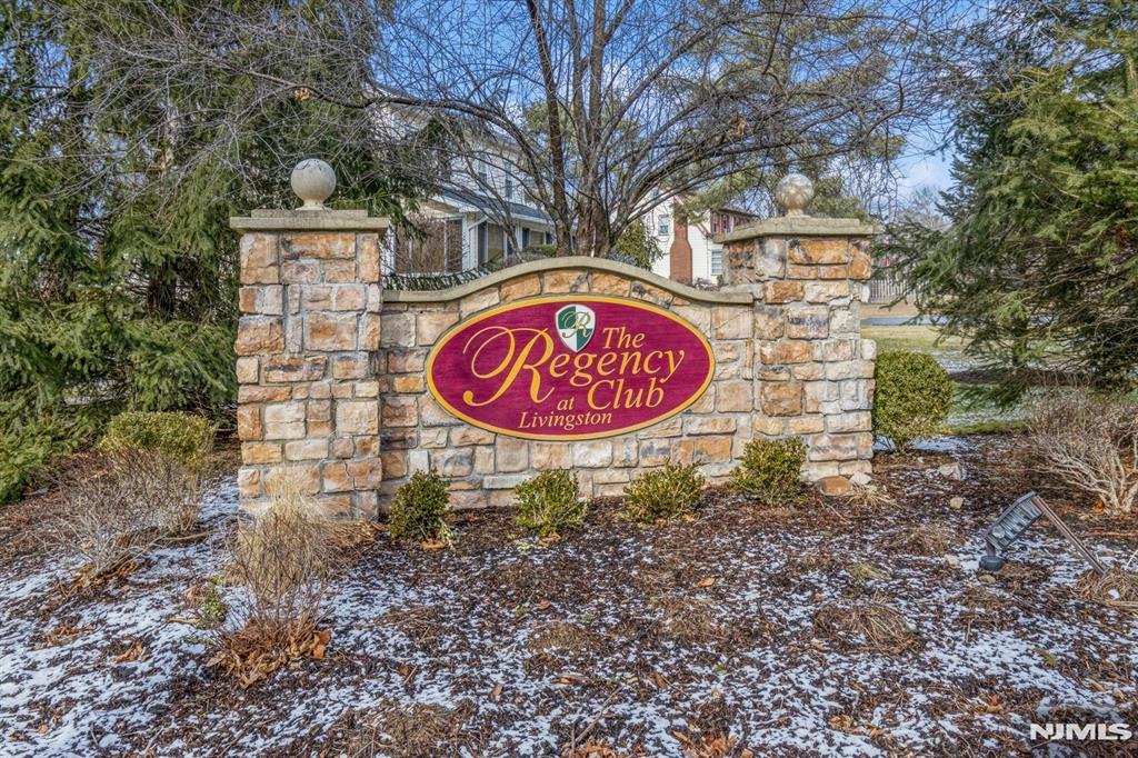 The ONLY ONE on the market! Well Maintained Townhome w/ 3 BD + 2 1/2 BA in DESIRABLE GATED Community. Main Level boasts COZY Living Room w/Gas FP & Slider out to PRIVATE balcony with LUSH views, Formal Dining Room & EAT-IN Kitchen w/SS Appliances. 2nd level includes Large Master En-Suite with CATHEDRAL ceiling, Spa Bath w/Jetted Tub, Stall shower & Double Vanity + OUTFITTED walk-in closet. Two additional bedrooms, a hall bath, and a working loft complete the second level. Hardwood floors throughout. Convenient LOCATION Close to Midtown Train JITNEY and Express NYC Bus. Outdoor POOL, Tennis Courts, Club House and 24-Hour Security are just some of the LUXURIES to be found at the Regency Club! Enjoy an EASY LIFE and never shovel again!