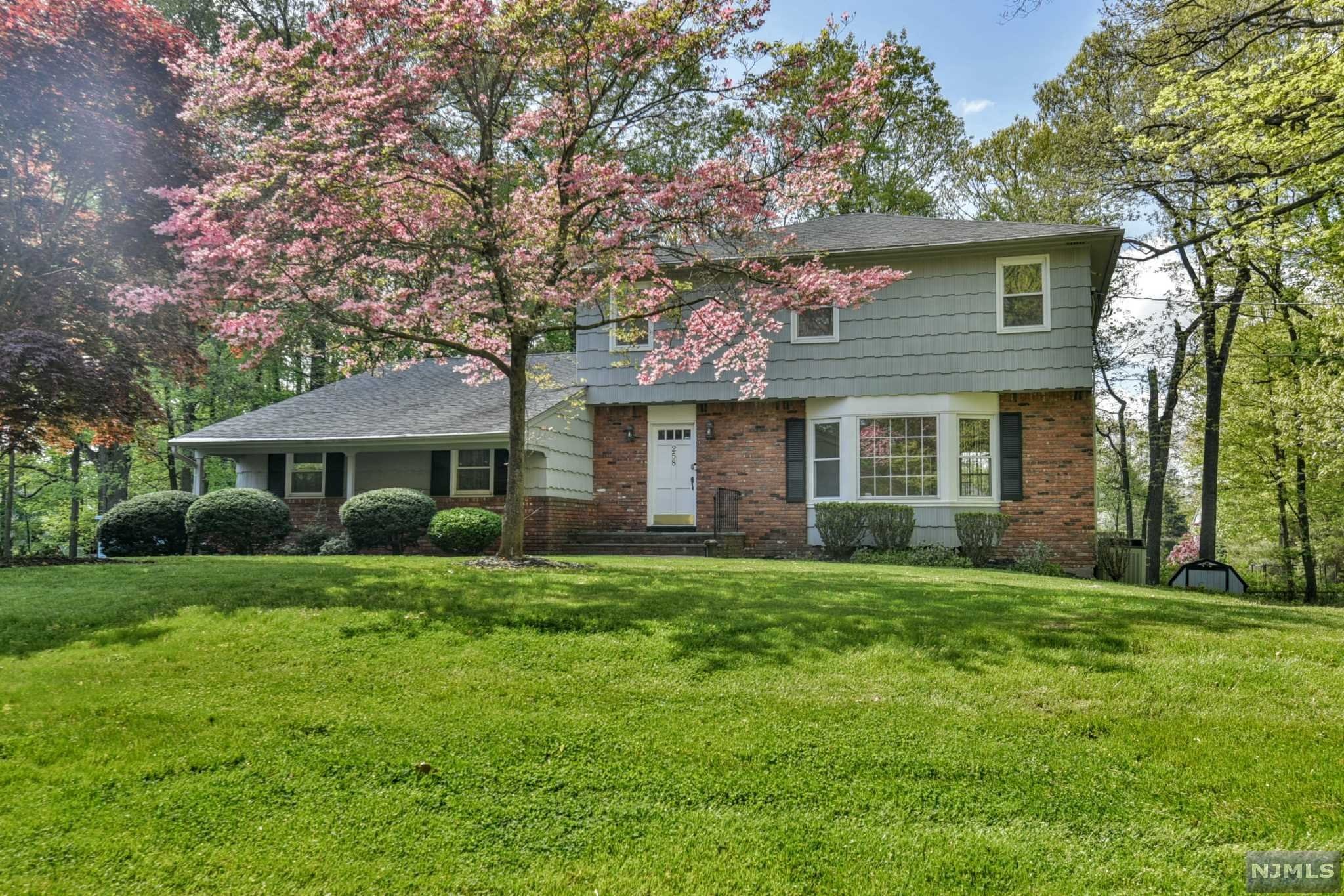 This is the perfect home to begin your life in sought after Franklin Lakes! This 4 bedroom, 2-1/2 bath center hall colonial sits on a lovely builder's acre in a neighborhood of homes with higher values. Enjoy this home as currently configured with its large living room, dining room and kitchen that opens to the family room, update it, or make plans to add additional space. This home offers endless possibilities!