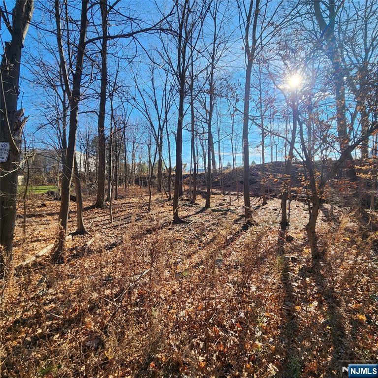 Looking to build your dream home in Mahwah? Struggling to find vacant land? Then donâ€™t miss the unique opportunity!! Gardiner Street is located directly off Franklin Tpke and becomes Wanamaker as the road begins to bend. This street is loaded with charm where mature trees create a delicate canopy and no two houses are the same. This half acre is located in the R-10 zone. It is oversized for the zone and can comfortably accommodate your vision. Mostly flat, the land enjoys a brook along the entire south side of the property. I imagine this to be a beautiful visual once the property is cleared. If you need guidance or references for architects, engineers, builders. . . we are here to help! The property is not located in a flood zone and is not deemed wetlands.