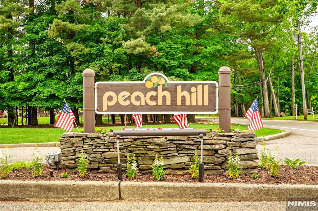Desirable end-unit townhome in Ramsey's sought-after Peach Hill community! This move-in ready 2-bedroom, 3.5-bath home features two ensuite bedrooms, abundant natural light, and a spacious layout designed for comfortable living and entertaining. Enjoy an eat-in kitchen with center island, cozy sitting area with wood-burning fireplace, formal living and dining spaces, first-floor laundry, and a large finished basement perfect for a home office, gym, or recreation room. Relax on the private deck overlooking peaceful wooded surroundings. Additional highlights include a two-car garage, ample storage, community tennis courts, and a playground. Conveniently located near shopping, dining, parks, and commuter routes.