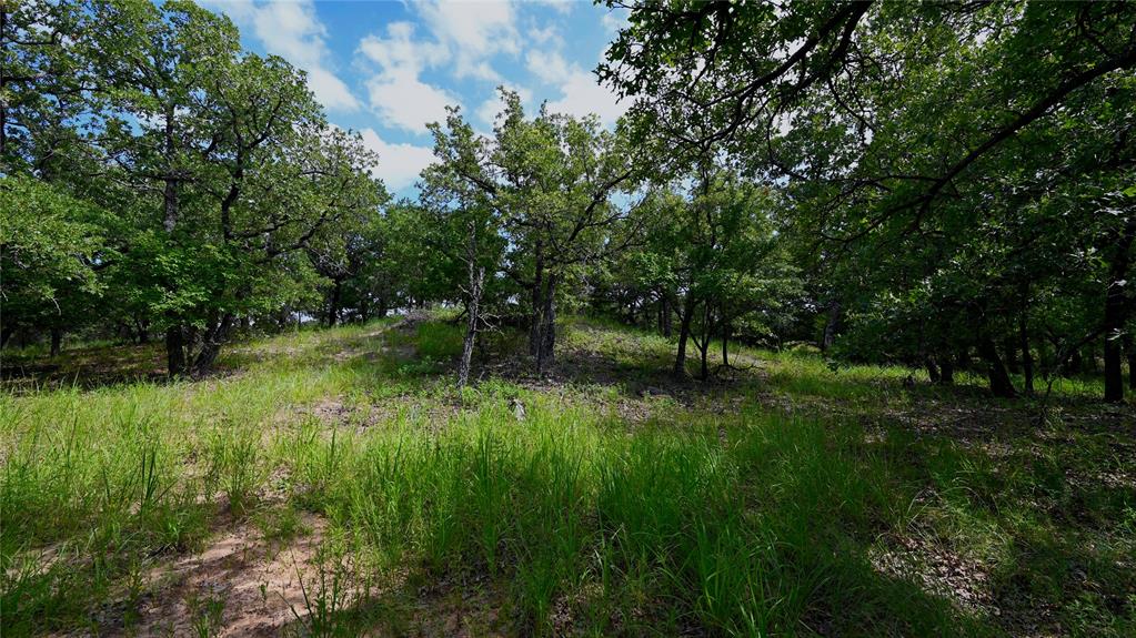 NOCONA HILLS - Land