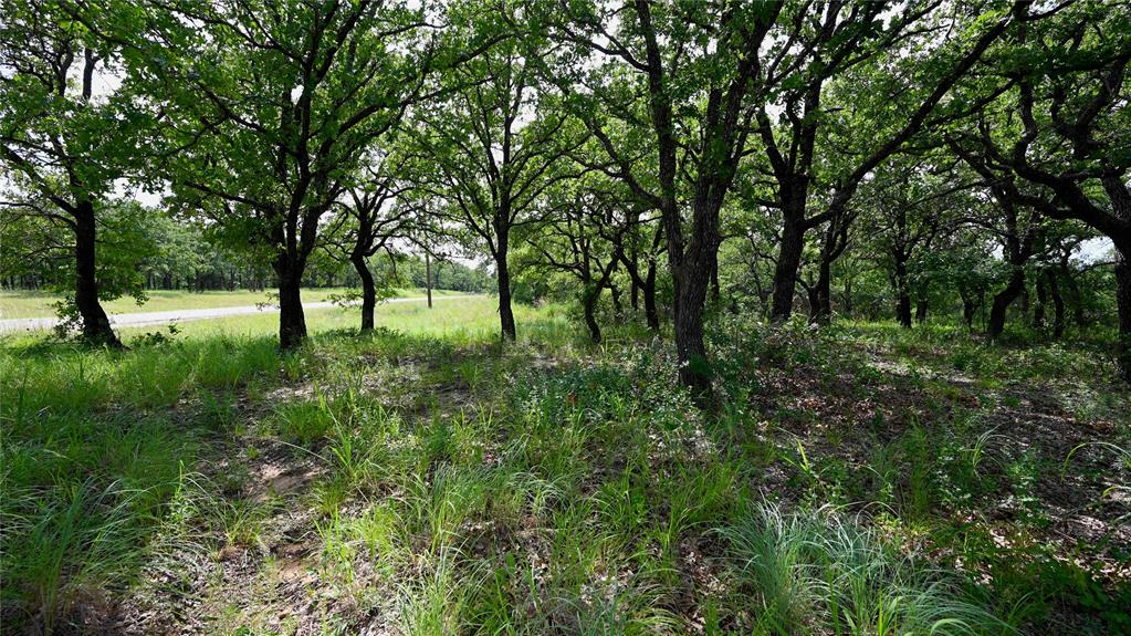 NOCONA HILLS - Land