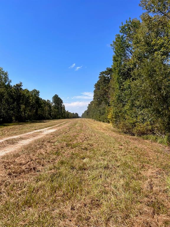 Rural - Land