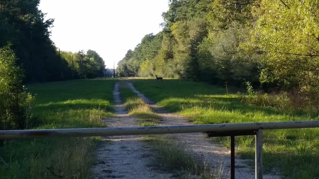 Rural - Land