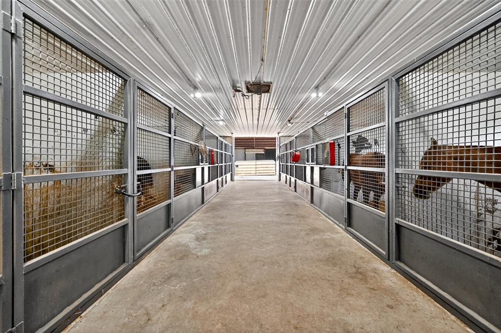 kitchen patsy - Residential